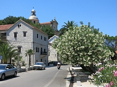 PRCANJ (14)